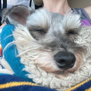 Meet your Posher, Whitney